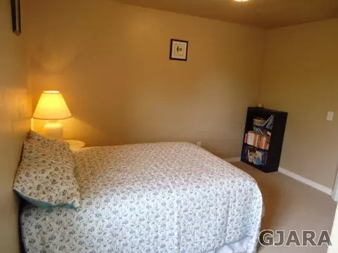 173 Lyndhurst Ave, Fruita, CO 81521 photo 10