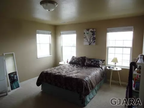 173 Lyndhurst Ave, Fruita, CO 81521 photo 6