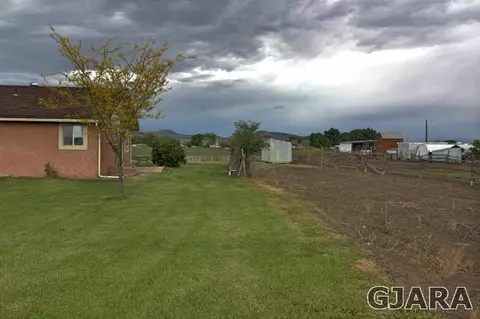 1151 16 Rd, Fruita, CO 81521 photo 4