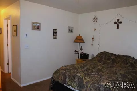 630 Taurus Ave, Fruita, CO 81521 photo 9