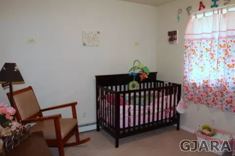 630 Taurus Ave, Fruita, CO 81521 photo 13