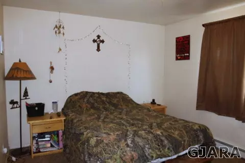 630 Taurus Ave, Fruita, CO 81521 photo 8