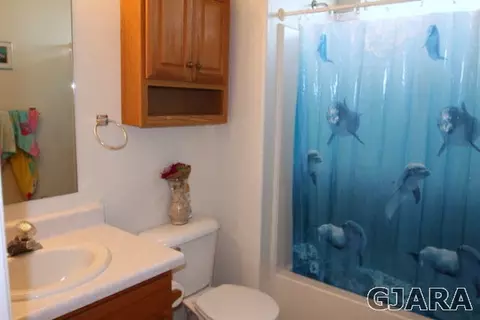 630 Taurus Ave, Fruita, CO 81521 photo 15