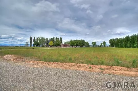 1701 10 Rd, Mack, CO 81525 photo 25