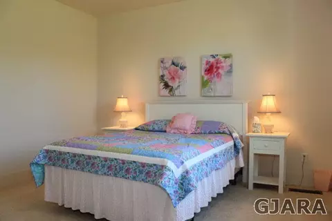 1143 Primrose Ln, Fruita, CO 81521 photo 22
