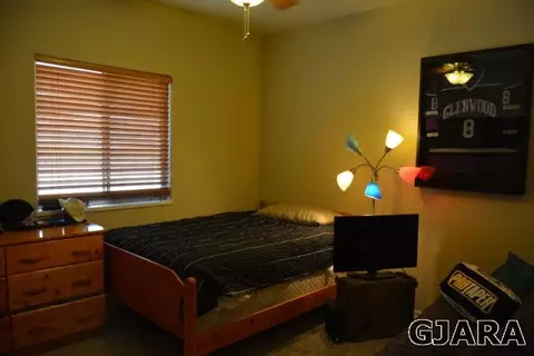 949 Vintners Ct, Fruita, CO 81521 photo 23