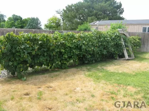 407 N Mesa St, Fruita, CO 81521 photo 7