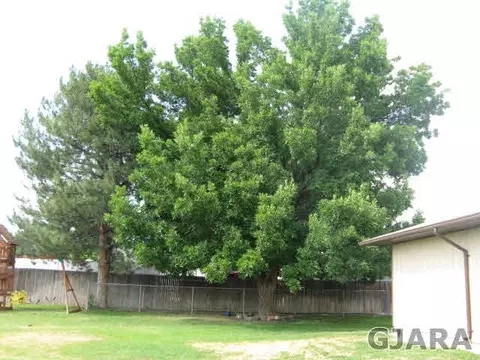 407 N Mesa St, Fruita, CO 81521 photo 11