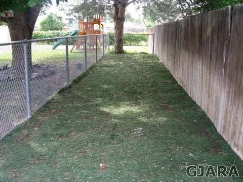 407 N Mesa St, Fruita, CO 81521 photo 5