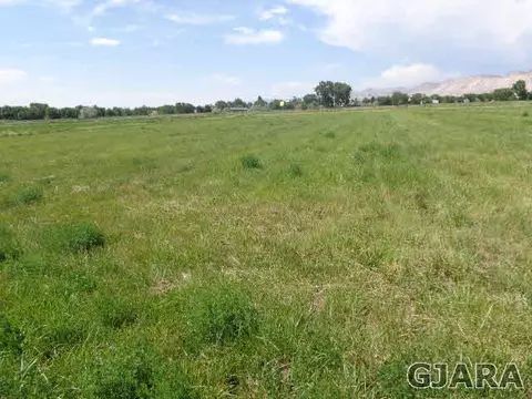 3084 12 E Rd, Grand Junction, CO 81504 photo 3