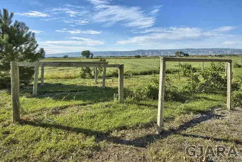 1953 O Rd, Fruita, CO 81521 photo 35
