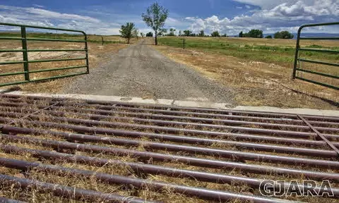1953 O Rd, Fruita, CO 81521 photo 37