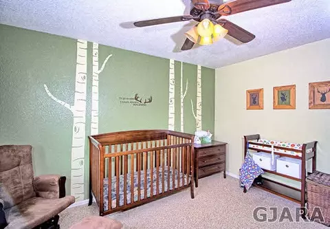 953 Pine St, Fruita, CO 81521 photo 29