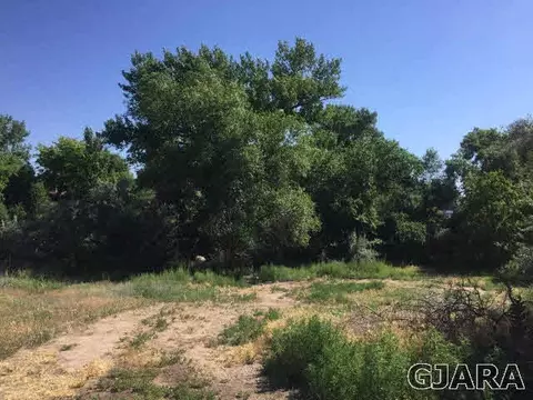 305 W Ottley Ave, Fruita, CO 81521 photo 19