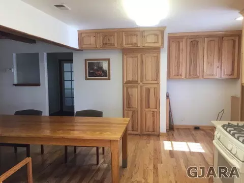 305 W Ottley Ave, Fruita, CO 81521 photo 16