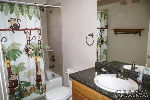 1365 Monument Ct, Fruita, CO 81521 photo 17