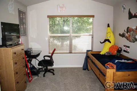 1365 Monument Ct, Fruita, CO 81521 photo 18