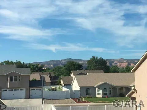 806 Delean Way, Fruita, CO 81521 photo 9