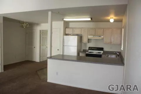 493 David Ct, Fruita, CO 81521 photo 3