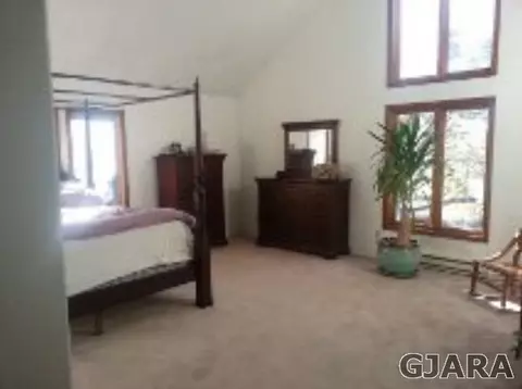 493 David Ct, Fruita, CO 81521 photo 7