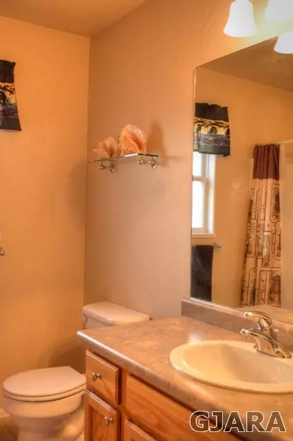 969 Celestite Dr, Fruita, CO 81521 photo 13