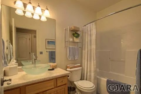 612 Silver Plume Dr, Fruita, CO 81521 photo 15