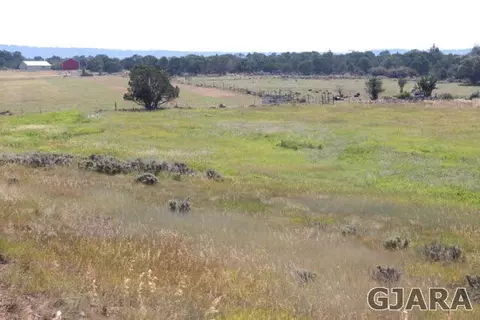 24239 Ute Trail Rd, Cedaredge, CO 81413 photo 7