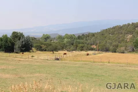 24239 Ute Trail Rd, Cedaredge, CO 81413 photo 10