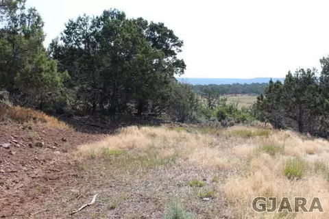 24239 Ute Trail Rd, Cedaredge, CO 81413 photo 2