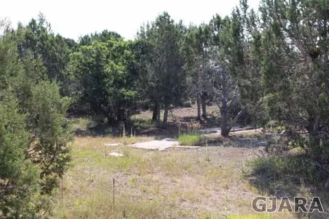 24239 Ute Trail Rd, Cedaredge, CO 81413 photo 13
