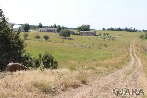 24239 Ute Trail Rd, Cedaredge, CO 81413 photo 5