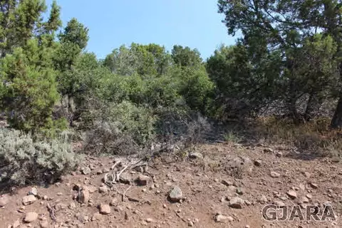 24239 Ute Trail Rd, Cedaredge, CO 81413 photo 3