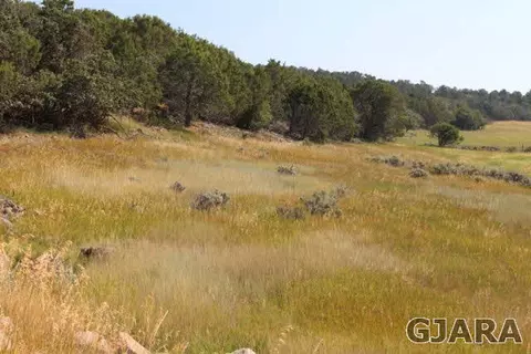 24239 Ute Trail Rd, Cedaredge, CO 81413 photo 1