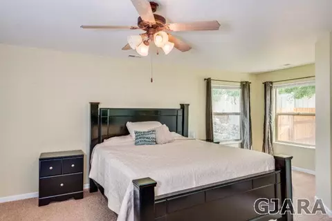 713 Delean Way, Fruita, CO 81521 photo 14