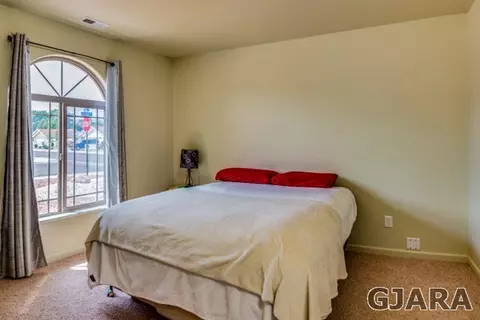 713 Delean Way, Fruita, CO 81521 photo 15