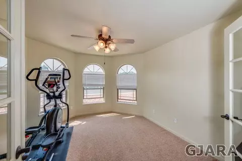 713 Delean Way, Fruita, CO 81521 photo 10