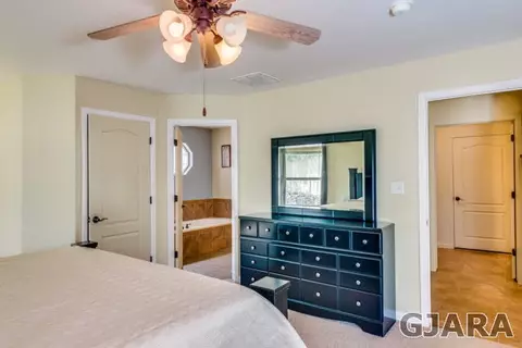 713 Delean Way, Fruita, CO 81521 photo 13