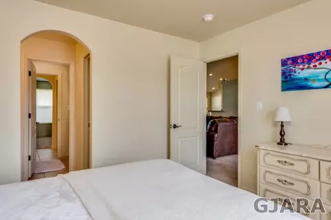 713 Delean Way, Fruita, CO 81521 photo 16