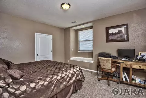 244 Belden Ct, Fruita, CO 81521 photo 20