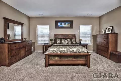 244 Belden Ct, Fruita, CO 81521 photo 16