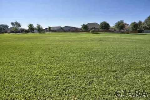 244 Belden Ct, Fruita, CO 81521 photo 34