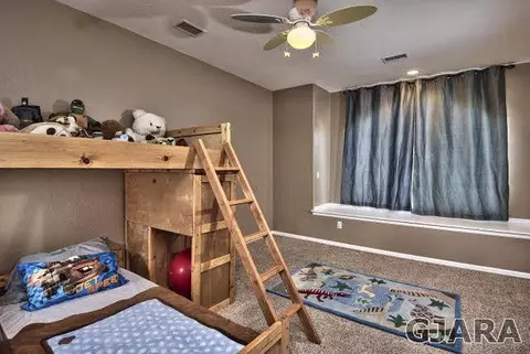 244 Belden Ct, Fruita, CO 81521 photo 22