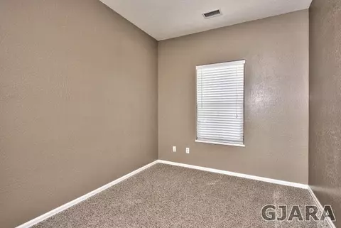 244 Belden Ct, Fruita, CO 81521 photo 23