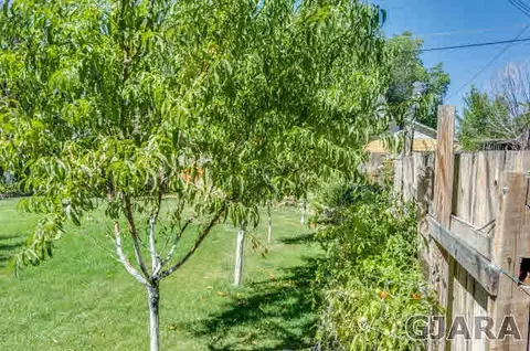 713 E Harrison Ave, Fruita, CO 81521 photo 6
