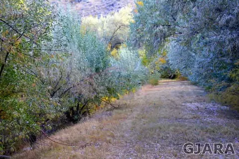 599 36 Rd, Palisade, CO 81526 photo 33