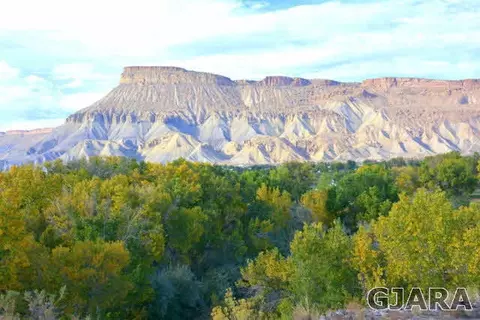 599 36 Rd, Palisade, CO 81526 photo 28