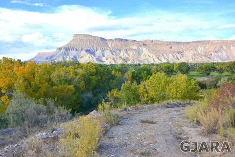 599 36 Rd, Palisade, CO 81526 photo 27
