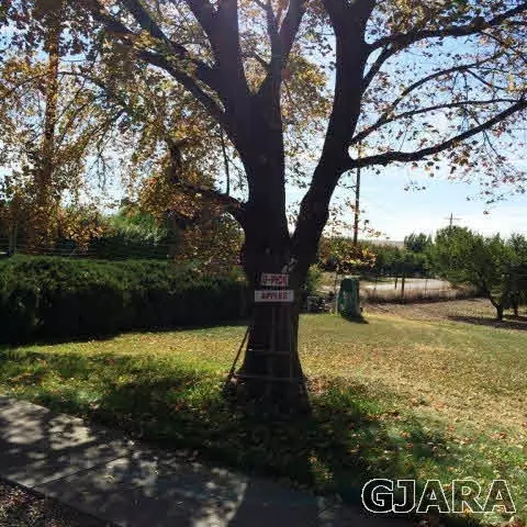 599 36 Rd, Palisade, CO 81526 photo 6