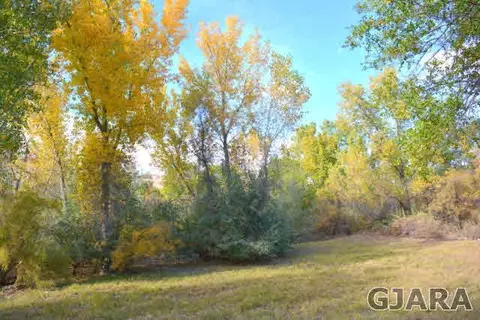 599 36 Rd, Palisade, CO 81526 photo 29