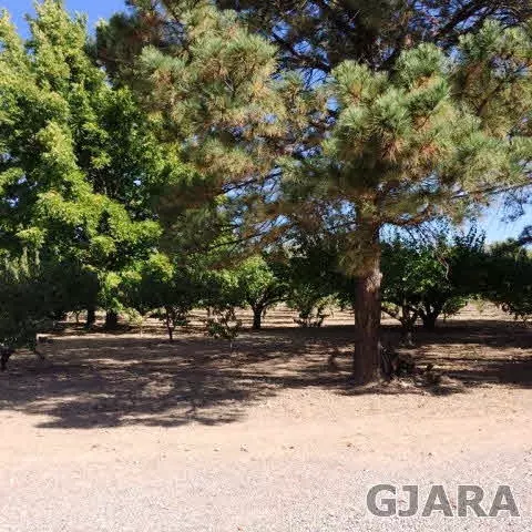 599 36 Rd, Palisade, CO 81526 photo 7